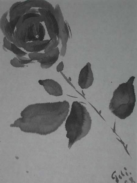 schwarze-rose.jpg